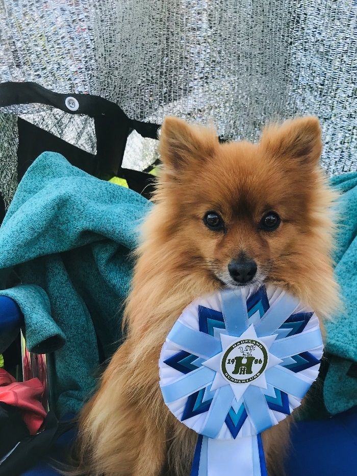 Første plass og NAPP i Hopp 2 på Buddy 25. august 2019